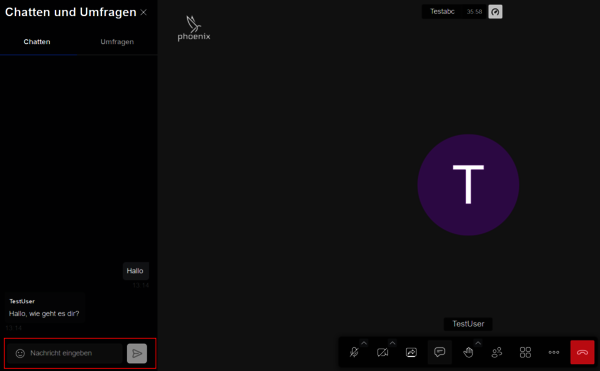 Chat-Fenster: Nachricht eingeben
